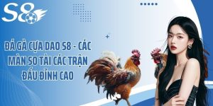 Đá Gà Cựa Dao S8 - Các Màn So Tài Các Trận Đấu Đỉnh Cao