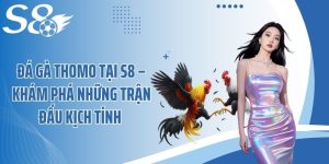 Đá Gà Thomo Tại S8 – Khám Phá Những Trận Đấu Kịch Tính 