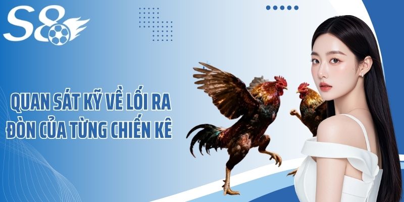 Quan sát kỹ về lối ra đòn của từng chiến kê 